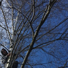 Friday Fortunes pt. 1 - LIFE AFTER BEATE