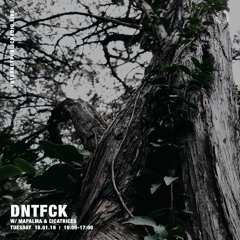 DNTFCK on Internet Public Radio - Mapalma & Cicatrices