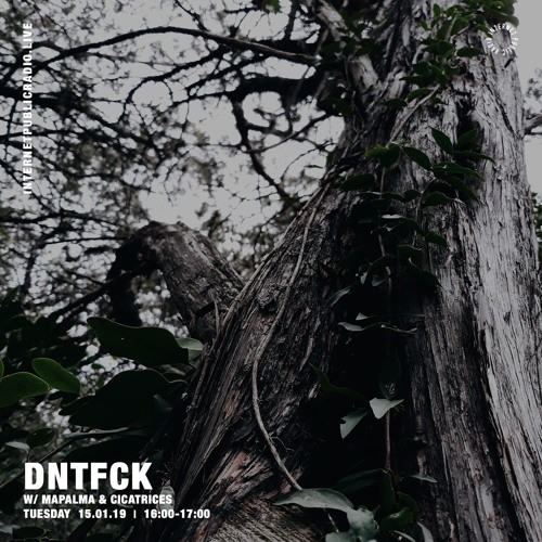 DNTFCK on Internet Public Radio - Mapalma & Cicatrices