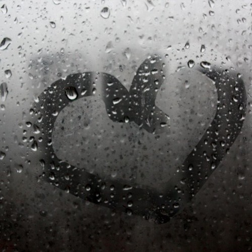 Rainy Daze