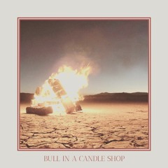 Bull In A Candle Shop (Mixtape No.01)