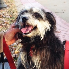 Who are You Running From?