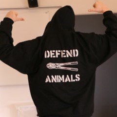 Plingeling (feat. Minor2Go)