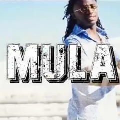 MULA (feat. Quail P)