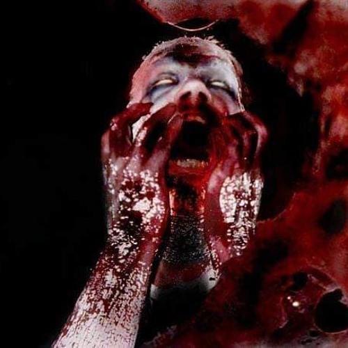 Sutehx - Odd Frequency 005