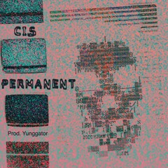 Permanent (Prod. yunggator)