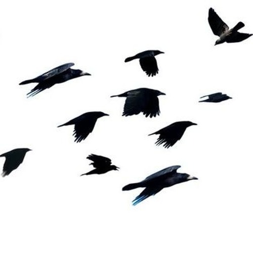 Stream Sandpaper Kisses, Papercut Bliss by Felix Da Cat Listen online