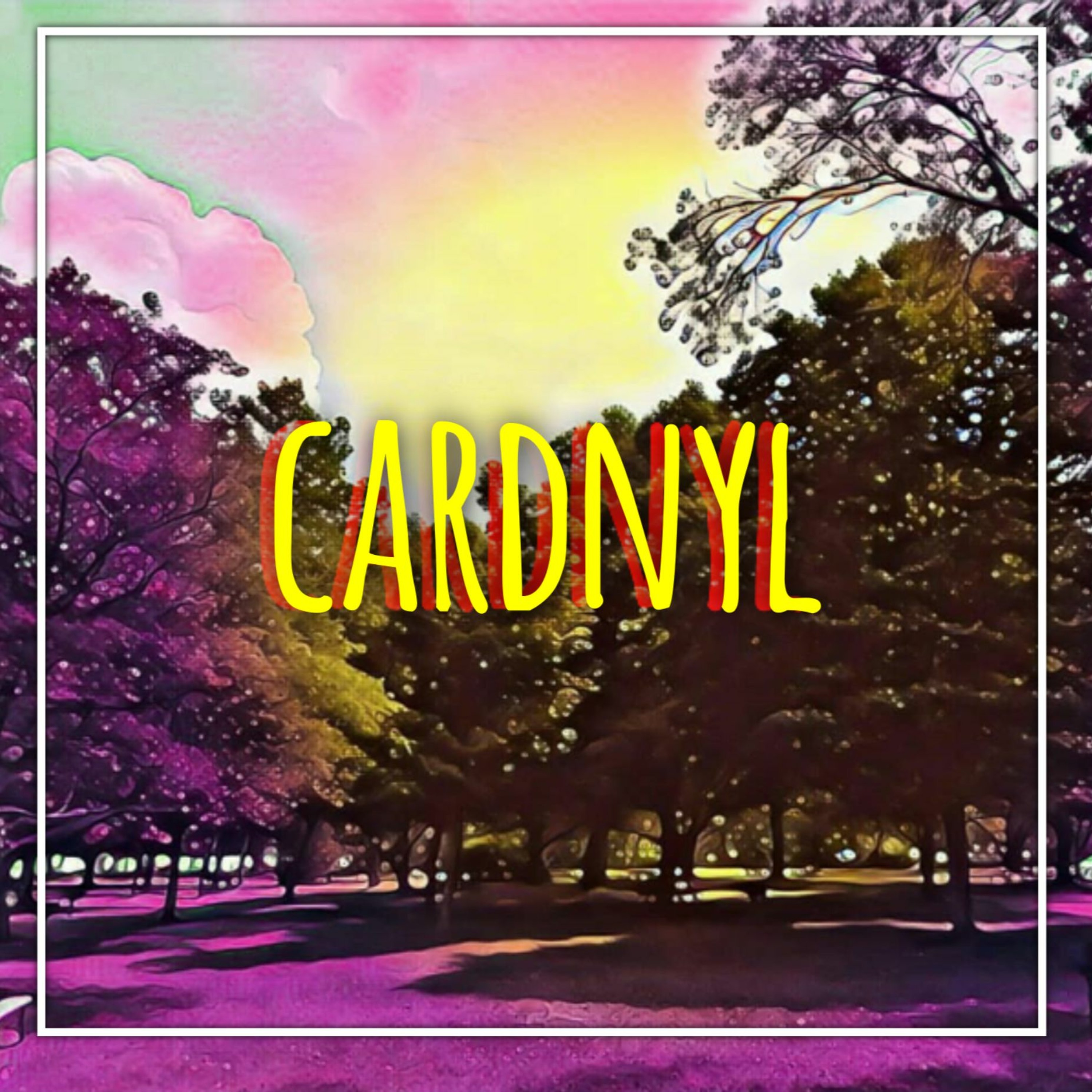 Cardnyl