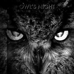 Owl's Night - Extract Live