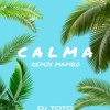 Calma Pedro CapÓ X Farruko Remix Mambo Mp3
