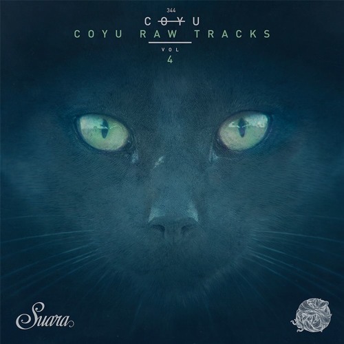 Premiere: Coyu "The Color Of Doubt" - Suara