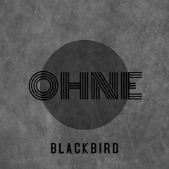 Blackbird