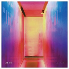 Luminous (Original Mix)