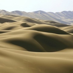 Impulse Garden & Plexura - Gobi