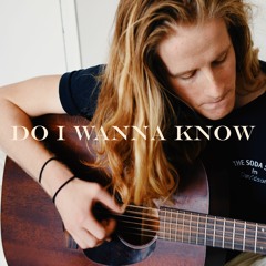Do I Wanna Know (Cover)