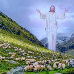 And Jesus Saved The Sheep