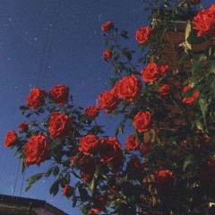 repent (prod. ba$h)