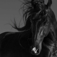 Kleptomaniac Cowboy (for Tyler)