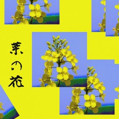 na-no-hana [菜の花]