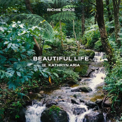 Beautiful Life - Richie Spice feat. Kathryn Aria (Rootfire World Premiere)