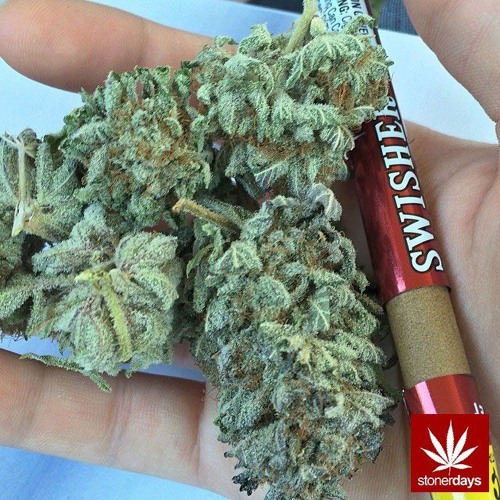 Stream Kush Weed & Swisher Sweets by J.W.$._Music | Listen online for free  on SoundCloud