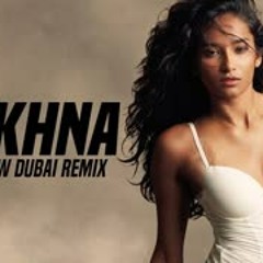 Makhna (Remix)