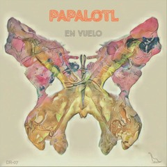 6. Paciencia - Papalotl