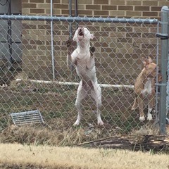 just an (ignorant) sub @eon.kennedy on instagram