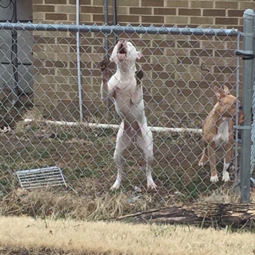 just an (ignorant) sub @eon.kennedy on instagram