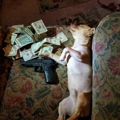 20bandz