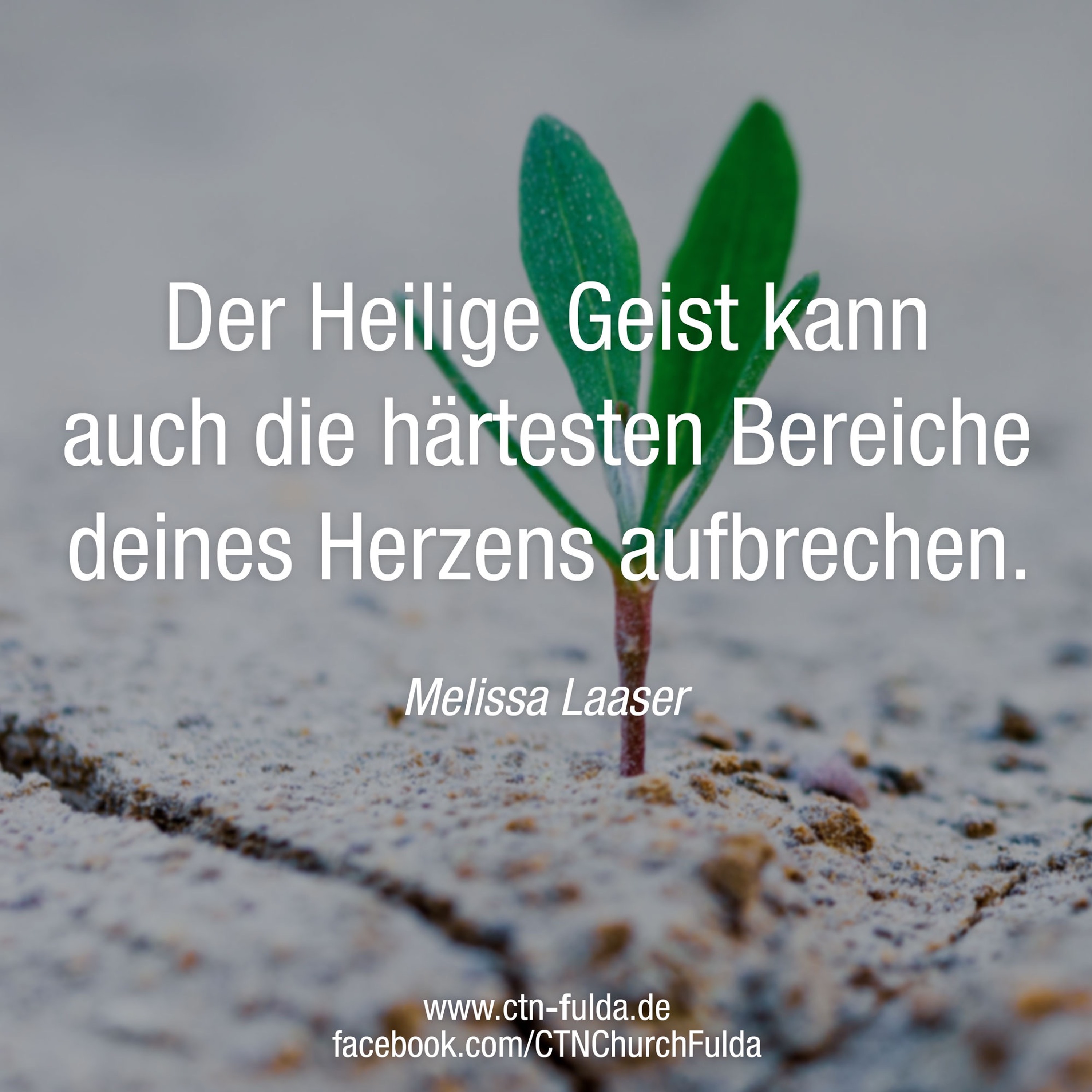 Melissa Laaser - Die Power des Heiligen Geistes für deine neuen Gedanken (Serie 7/06.01.2019) episode artwork