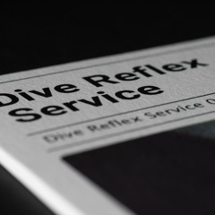 Dive Reflex Service - Crocodile On The Wall (Forthcoming on Limbo Tapes)
