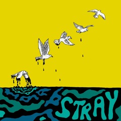 Front Bangs - Stray