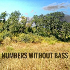 Numbers without bass