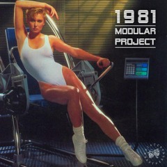 Modular Project - 1981 (Kasper Bjørke Bonus Beat Version)