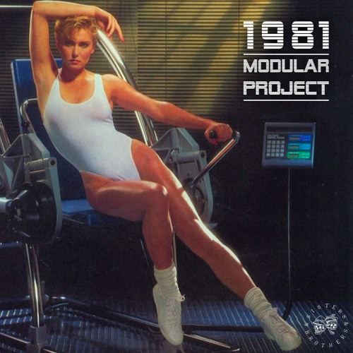 Modular Project - 1981