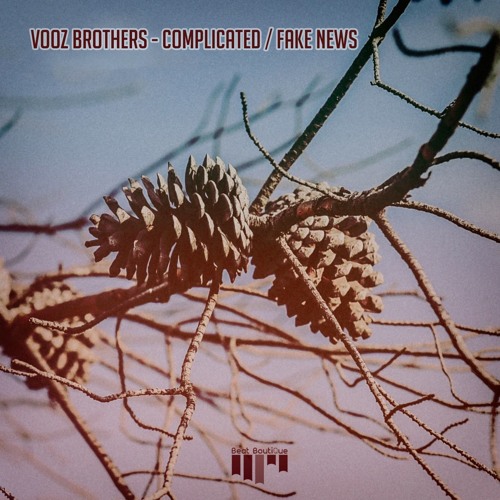 Complicated - Fake News by @beat-boutique-rec