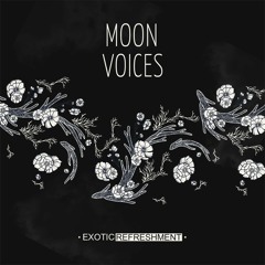 VA - Moon Voices incl. HAFT, San Miguel, MI.LA, Niju, Timboletti, Sandeman, Rapossa, Lukas Endhardt
