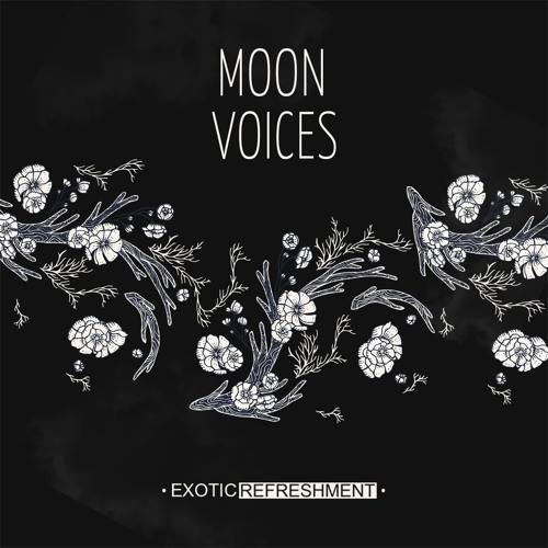 VA - Moon Voices incl. HAFT, San Miguel, MI.LA, Niju, Timboletti, Sandeman, Rapossa, Lukas Endhardt