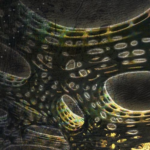 Nocturne 0x9e3779b9