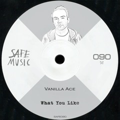 Vanilla Ace - What You Like (Original Mix)