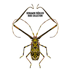 PREMIERE: Benjamin Fröhlich - Dream City (Axel Boman Remix)[Permanent Vacation]