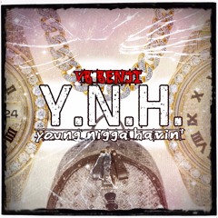 Young Nigga Havin(YNH )