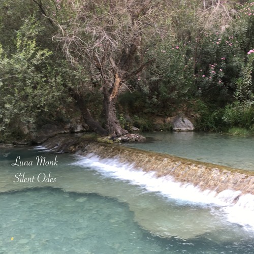 Luna Monk - Silent Odes (Preview)