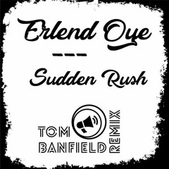 Erlend Øye - Sudden Rush (Tom Banfield Remix)
