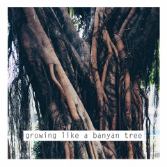 growing like a banyan tree
