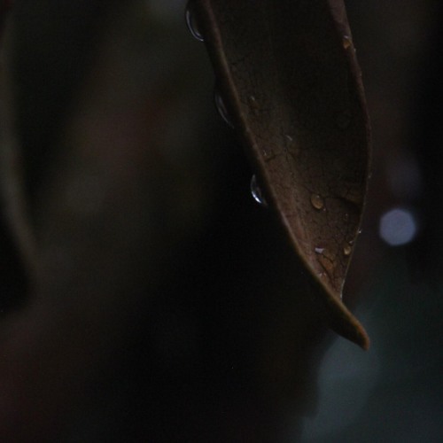 Flitz&Suppe - nothing to do