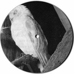 Aethernauts **** 500 Followers FREE FULL DOWNLOAD ****