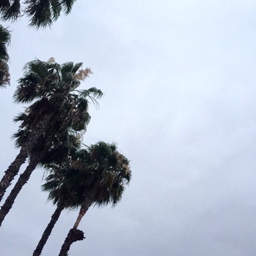 im sorry [instrumental]