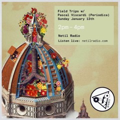 Field Trips w/ Pascal Viscardi : The Mix That Will Make You Want To Be A Better Human Beeing